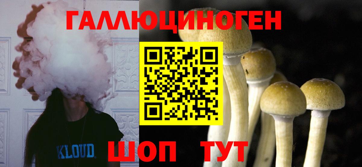 Галлюциногенные грибы GOLDEN TEACHER  Вход с VPN  Копейск  наркошоп  Псилоцибиновые грибы мухоморы 