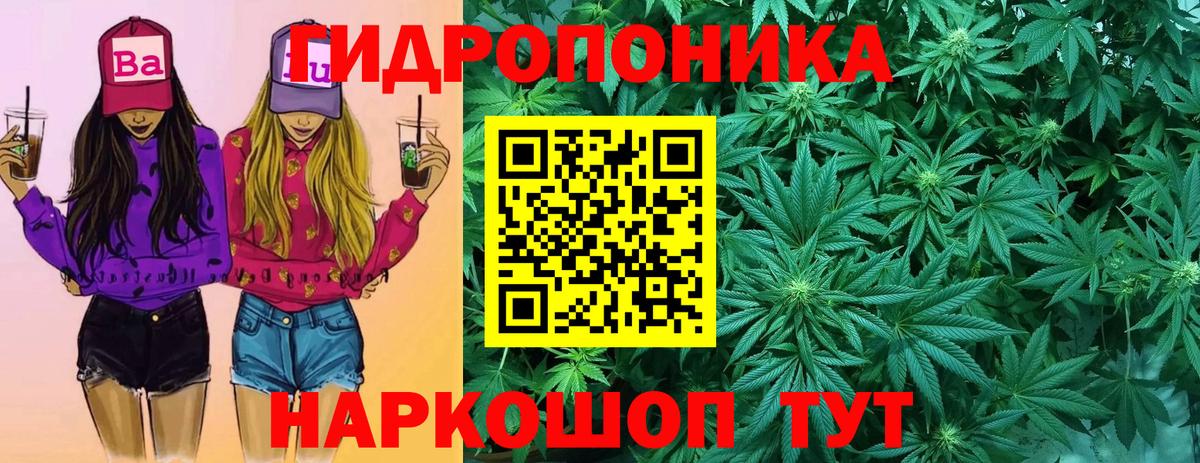 Каннабис индика  Бошки марихуана индика  Вход с VPN  Бошки Шишки индика  Копейск 